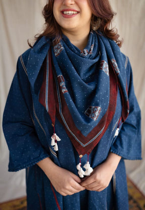 Irina Ajrakh Co-ord Set